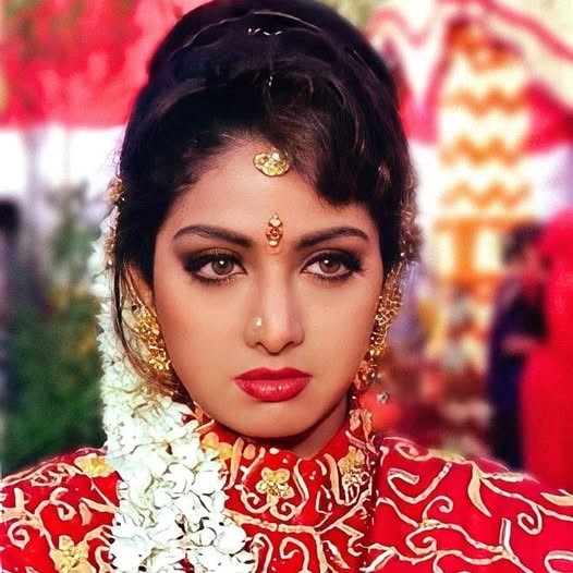 Sridevi The Perfectionist