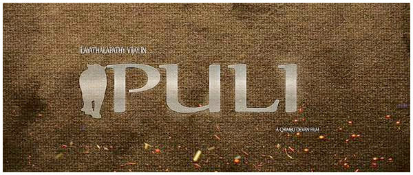 All what you need to know about Puli