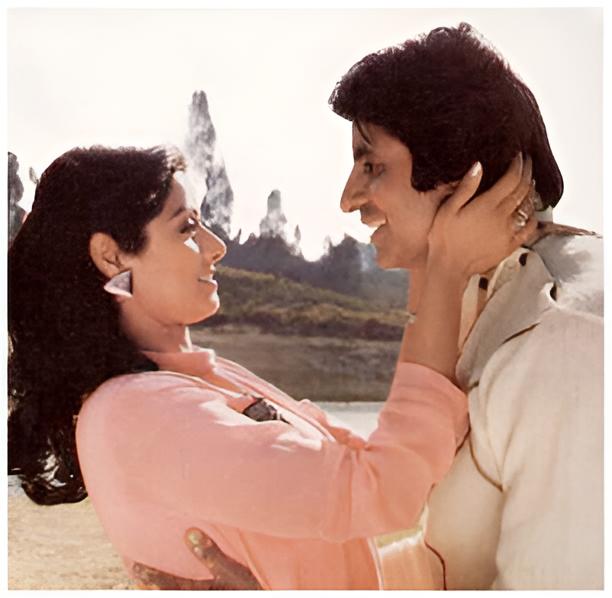 Amitabh Bachchan in English Vinglish